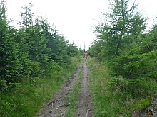 V�let do Jizersk�ch hor z Harrachova