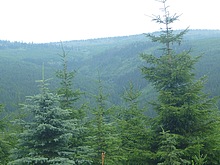 Lanovka - Celnice - pod Voseckou boudou - Krakono�ova sn�dan� - Mumlavsk� vodop�dy