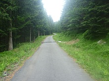 Lesn� z�ti�� - Kl�dov� cesta - Krakono�ova sn�dan� - Terex - Harrachov