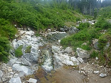 Lesn� z�ti�� - Kl�dov� cesta - Krakono�ova sn�dan� - Terex - Harrachov