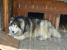 Z Harrachova na Dvora�ky a zp�t p�es Mumlavsk� vodop�dy