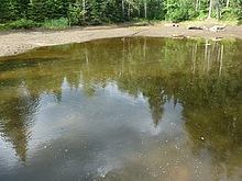 Around the Black lake