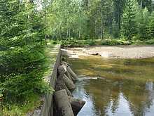 Around the Black lake