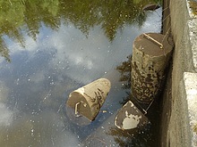 Around the Black lake