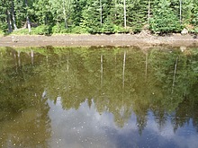 Around the Black lake