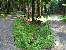 Around the Black lake