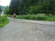 P�es Jizerku na Orle