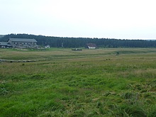 P�es Jizerku na Orle