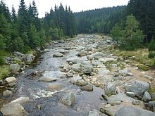 P�es Jizerku na Orle