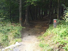 SINGLE TRACK