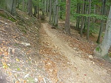 SINGLE TRACK