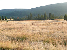 Par�dn� proj��ka Polskem