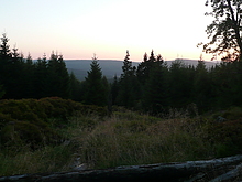 Par�dn� proj��ka Polskem