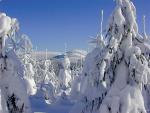 Harrachov Winter