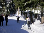 Harrachov  Jakuszyce  Cross-country Ski Paradise without any Border