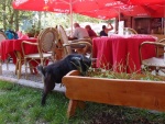 My Kiknik Harrachov  Awesome Gastronomy and Children's Fun