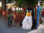 My Kiknik Harrachov  Awesome Gastronomy and Children's Fun