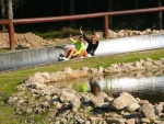 Bobsleigh and Monkey Park Harrachov (foto 4)