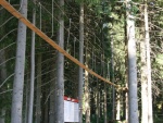 Monkey park Harrachov - Bobsleigh and Monkey Park Harrachov (foto 8)