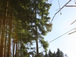 Bobsleigh and Monkey Park Harrachov (foto 11)