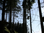 Monkey park Harrachov - Bobsleigh and Monkey Park Harrachov (foto 13)