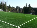 Fotbalov hit Harrachov - Football Field With Artificial Grass (foto 4)