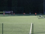 Football Field With Artificial Grass (foto 8)