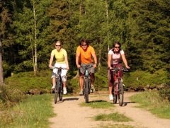 Mountain Bikes in Harrachov Harrachov