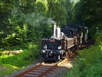 Parn� lokomotiva mezi Ko�enovem a Harrachovem - Rack Railway - Pearl of Czech Railway (foto 3)