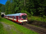 Rack Railway - Pearl of Czech Railway (foto 5)
