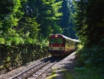 Rack Railway - Pearl of Czech Railway (foto 6)