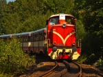 Zuba�ka Ko�enov - Harrachov - Rack Railway - Pearl of Czech Railway (foto 10)