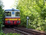Rack Railway - Pearl of Czech Railway (foto 11)