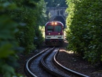 Rack Railway - Pearl of Czech Railway (foto 12)