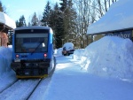 Ozubnicov tra - zubaka - Harrachov