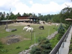 Liberec - ZOO, Aquapark Babylon (foto 1)