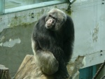 Liberec - ZOO, Aquapark Babylon (foto 7)