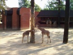 Liberec - ZOO, Aquapark Babylon (foto 8)