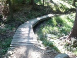 Singletrack pod Smrkem (foto 7)
