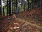 Singltrek pod Smrkem - Singletrack pod Smrkem (foto 12)